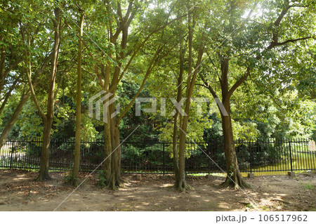 王塚古墳(神戸市) 王塚古墳(神戸市) 106517962