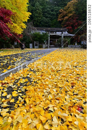 高座神社の紅葉 106518632