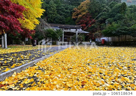 高座神社の紅葉 106518634
