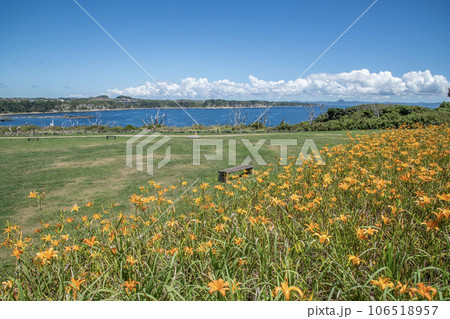 城ヶ島公園　神奈川県三浦市三崎町　夏 106518957
