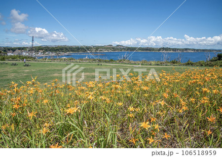 城ヶ島公園　神奈川県三浦市三崎町　夏 106518959