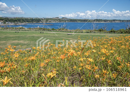 城ヶ島公園 神奈川県三浦市三崎町 夏 城ヶ島公園 神奈川県三浦市三崎町 夏 106518961
