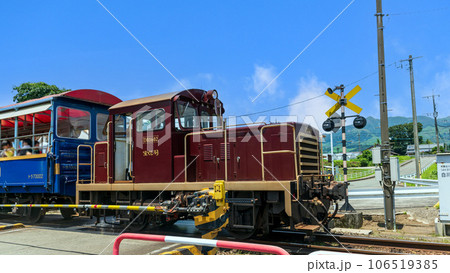 ロッコ列車と踏切風景（南阿蘇白川水源駅周辺風景）南阿蘇鉄道(全線開通） 106519385