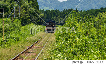 南阿蘇鉄道トロッコ列車「ゆうすげ号」（南阿蘇白川水源駅周辺風景）南阿蘇鉄道(全線開通） 106519614