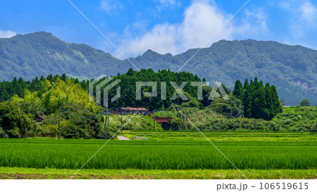 南阿蘇鉄道トロッコ列車「ゆうすげ号」（南阿蘇白川水源駅周辺風景）南阿蘇鉄道(全線開通） 106519615