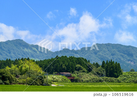 南阿蘇鉄道トロッコ列車「ゆうすげ号」（南阿蘇白川水源駅周辺風景）南阿蘇鉄道(全線開通） 106519616