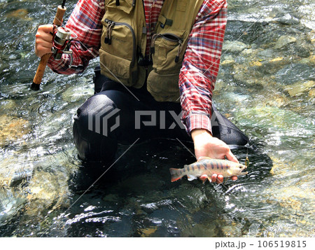 ルアーで釣れたヤマメを手持ちで撮った ルアーで釣れたヤマメを手持ちで撮った 106519815