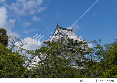 日和佐城　（徳島県美波町） 106519920