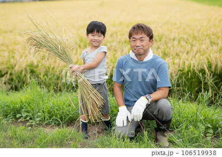 田舎暮らしをする家族・稲刈り・移住 106519938