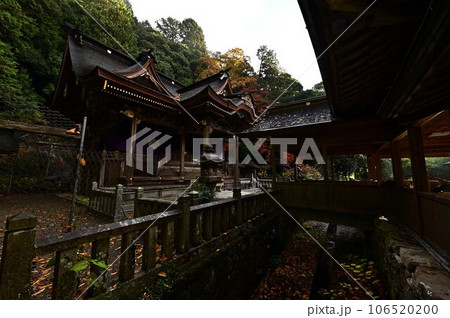 高座神社の紅葉 106520200