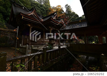 高座神社の紅葉 106520202