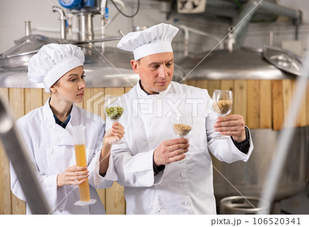 Couple of brewers examining hop pellets and malted grain at brewery Couple of brewers examining hop pellets and malted grain at brewery 106520341