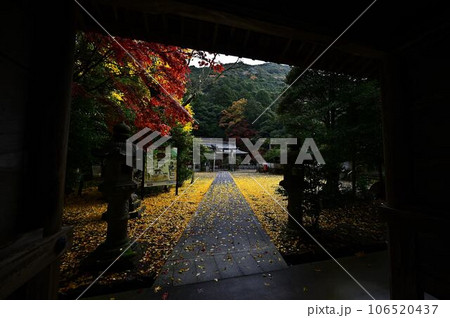 高座神社の紅葉 高座神社の紅葉 106520437