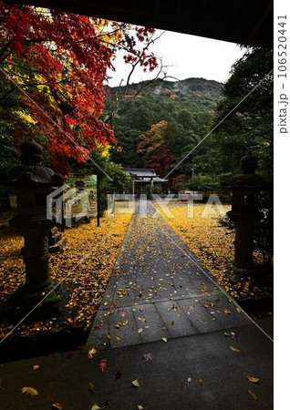高座神社の紅葉 106520441