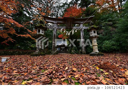 佐地神社の紅葉 106521423