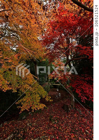 佐地神社の紅葉 106521524