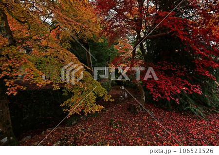 佐地神社の紅葉 106521526
