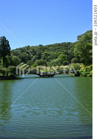 薬師池タイコ橋 106521603