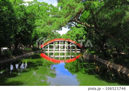 【大阪府】シンメトリーな住吉大社の反橋（太鼓橋） 106521746