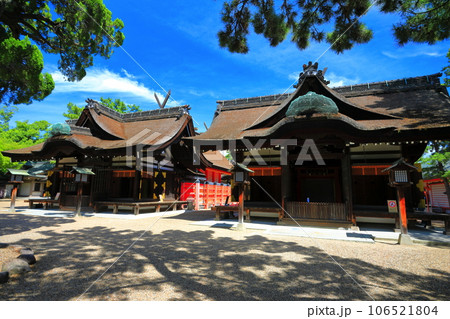 【大阪府】晴天の住吉大社の本宮（第三本宮と第四本宮） 106521804