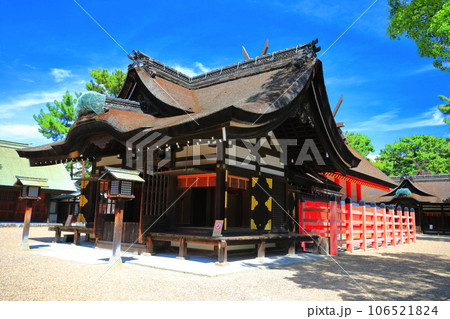 【大阪府】晴天の住吉大社の本宮(第二本宮) 【大阪府】晴天の住吉大社の本宮(第二本宮) 106521824