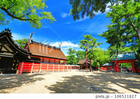 【大阪府】晴天の住吉大社の本宮（第二本宮） 106521827
