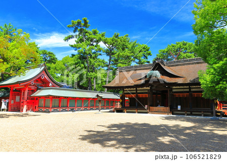 【大阪府】晴天の住吉大社の本宮(第一本宮) 【大阪府】晴天の住吉大社の本宮(第一本宮) 106521829