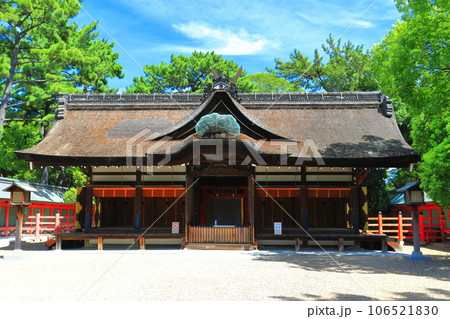 【大阪府】晴天の住吉大社の本宮（第一本宮） 106521830