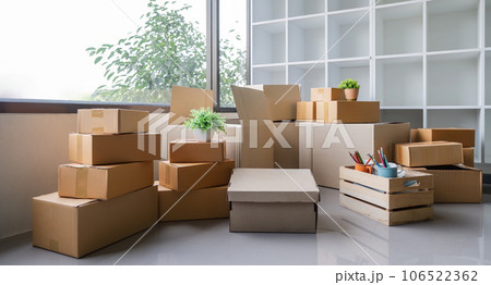 Moving day. Cardboard box and cleaning things for moving into a new home 106522362