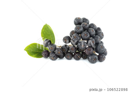 Bunch of aronia berries with green leaf on white Bunch of aronia berries with green leaf on white 106522898
