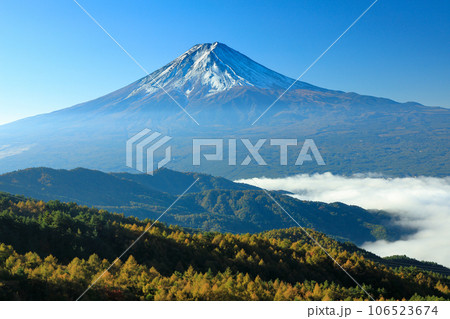唐松紅葉の西川林道から望む雲海富士 山梨県河口湖町 唐松紅葉の西川林道から望む雲海富士 山梨県河口湖町 106523674