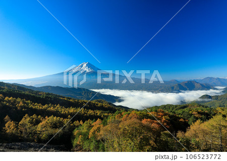 彩の林道から望む雲海富士　山梨県河口湖町 106523772