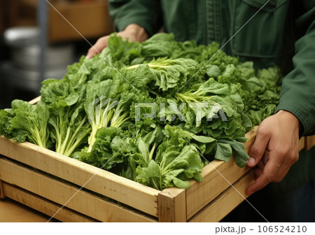 Young farmer with freshly picked Broccoli in basket. Hand holding wooden box with vegetables in field. Fresh Organic Vegetable. AI Generative. 106524210
