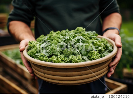 Young farmer with freshly picked Broccoli in basket. Hand holding wooden box with vegetables in field. Fresh Organic Vegetables. AI Generative. 106524216