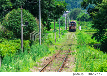 阿蘇の山並みと田園風景に映えるトロッコ列車風景（見晴台駅）　南阿蘇鉄道(全線開通・高森駅から立野駅) 106524478