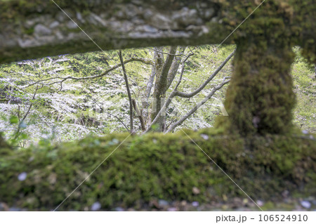 欄干の隙間から見える自然 欄干の隙間から見える自然 106524910