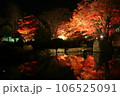 池に反射する紅葉 106525091