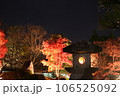 灯籠と紅葉 106525092