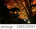 灯籠と紅葉2 106525093