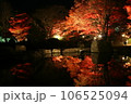 池に反射する紅葉_2 106525094