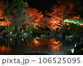 松と紅葉と池と私 106525095