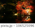夜のライトアップされた真っ赤な紅葉 106525096
