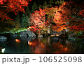 滝と紅葉とライトアップ 106525098