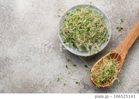 Microgreens grown in a jar. Microgreens grown in a jar. 106525141