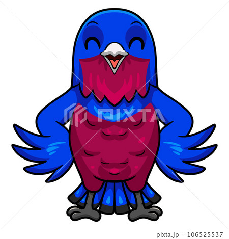 Cute banded cotinga bird cartoonのイラスト素材 [106525537] - PIXTA