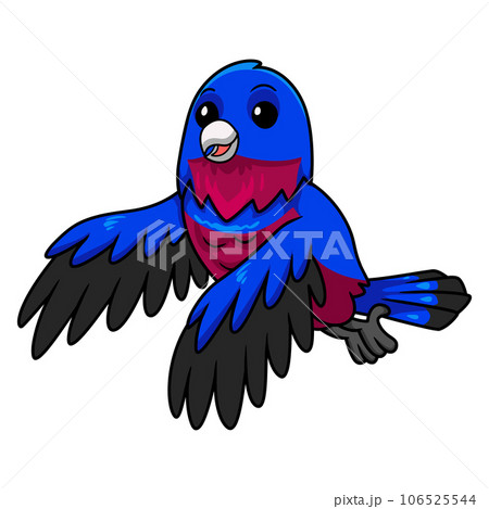 Cute banded cotinga bird cartoon flying 106525544