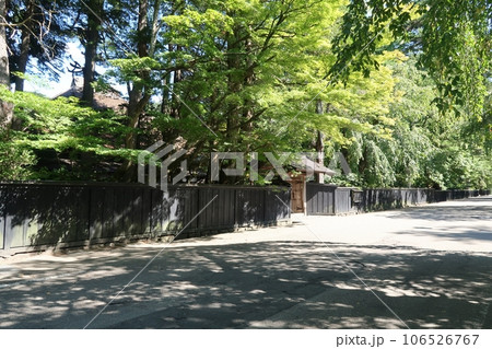角館石黒家前武家屋敷通り 106526767