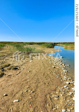 The coast of Vilsandi Island. Rocky shores. Preserved nature. Estonian nature park nature. 106527872