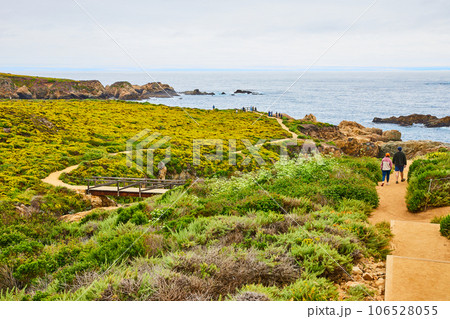 Green and yellow hillside leading to ocean shoreline view with people walking dirt trail Green and yellow hillside leading to ocean shoreline view with people walking dirt trail 106528055