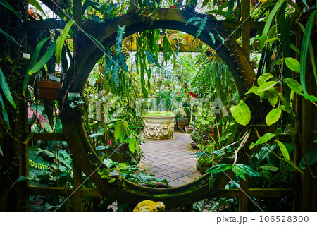 Moon gate with green plants attached to trellis leading to room full of tropical plants 106528300